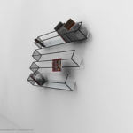 Bias of Thoughts Bookshelf
