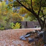 ll_221111_01-940x625
