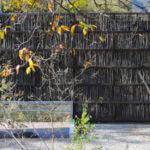 ll_221111_04-940x625