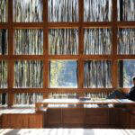 ll_221111_11-940x607