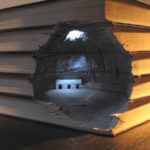 landscpapes_in_books_01