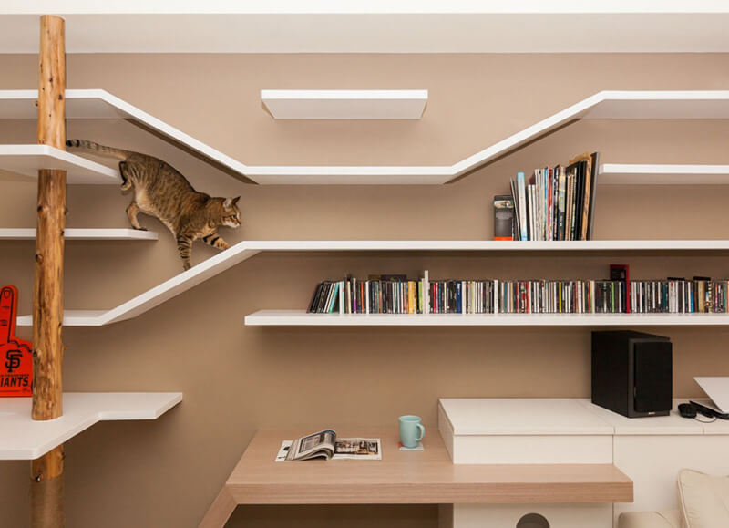 Cat Friendly Custom Bookshelves by Thinking Design
