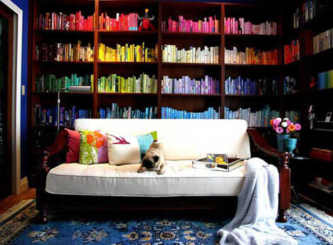 colored-bookshelves